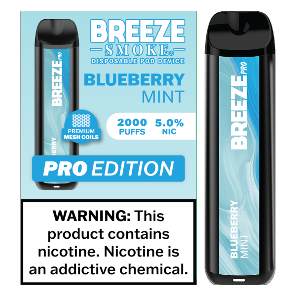 Best Blueberry Mint Vape (2026)