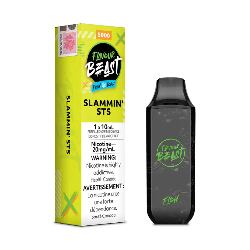 Best Flavor Beast Vape (2026)