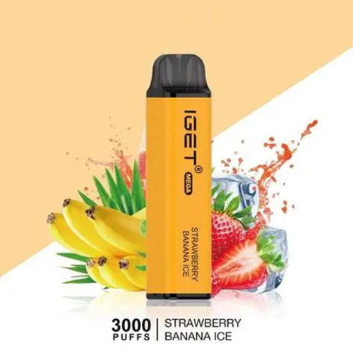 IGET Mega 3000 Review