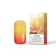 Ligg Pro 5500 Review