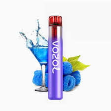 VOZOL Neon 800 Review